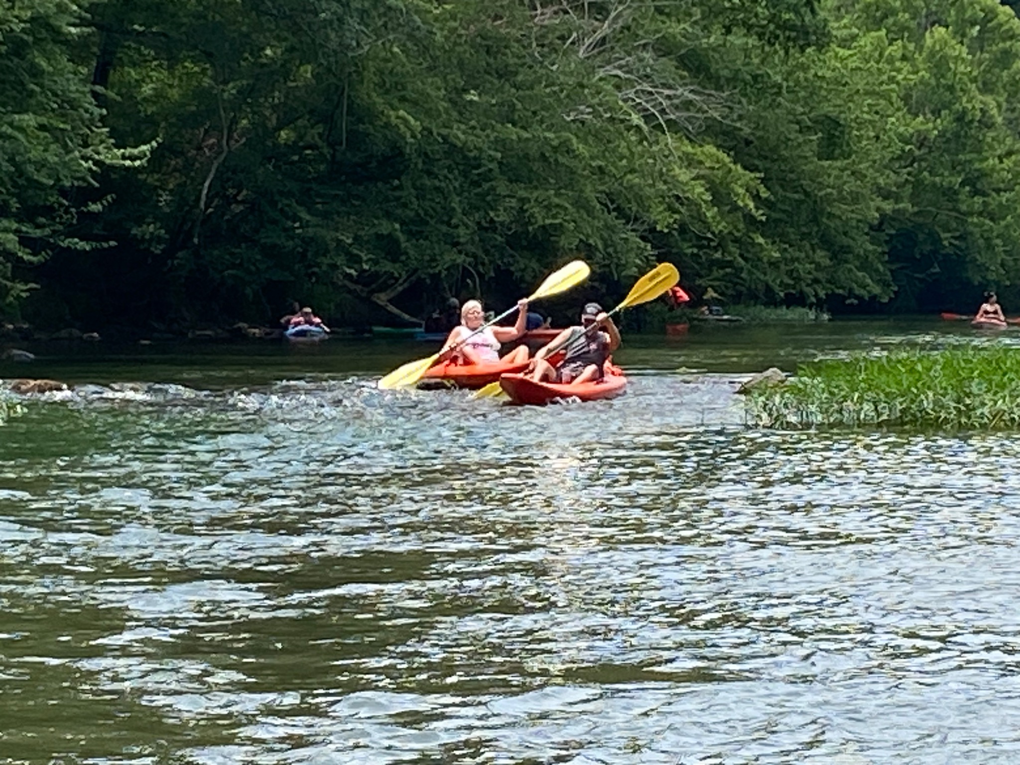 Kayakers running a small rapid on Terrapin Creek